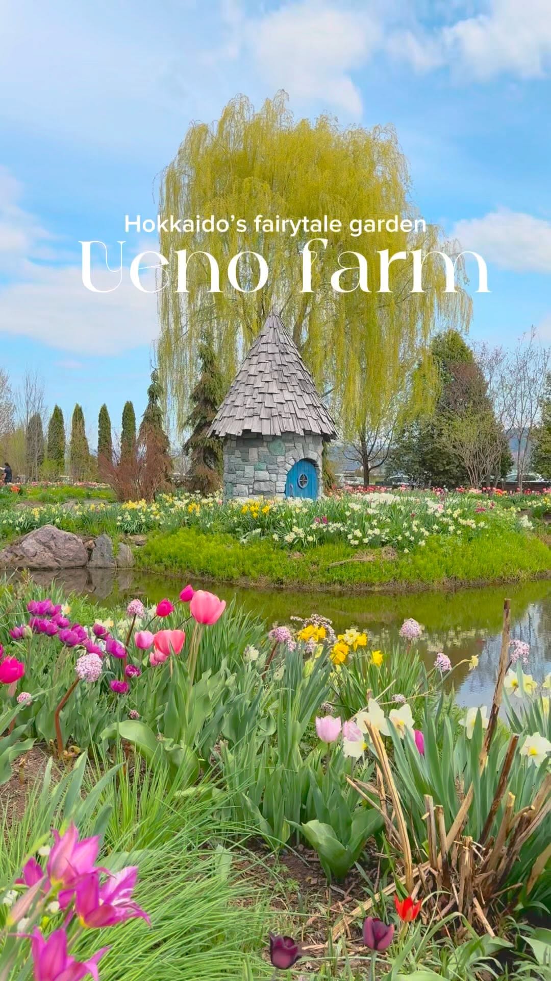 Ueno Farm: A Gnome Garden of Hokkaido Blooms