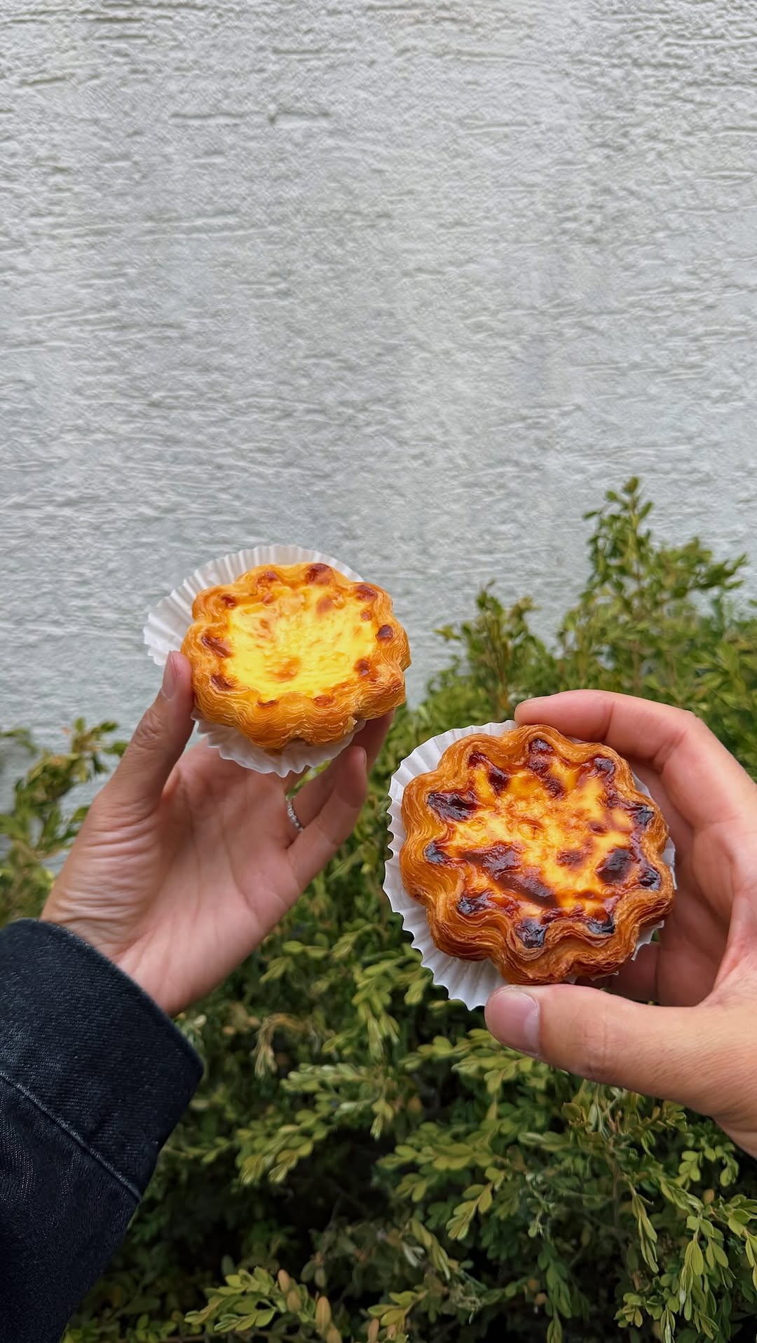 Korean Egg Tart Shops