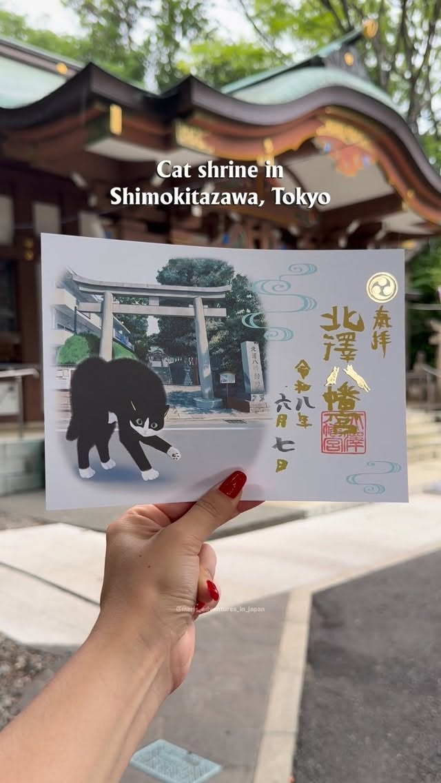 Shrine's Cats Charm Visitors Near Shimokitazawa