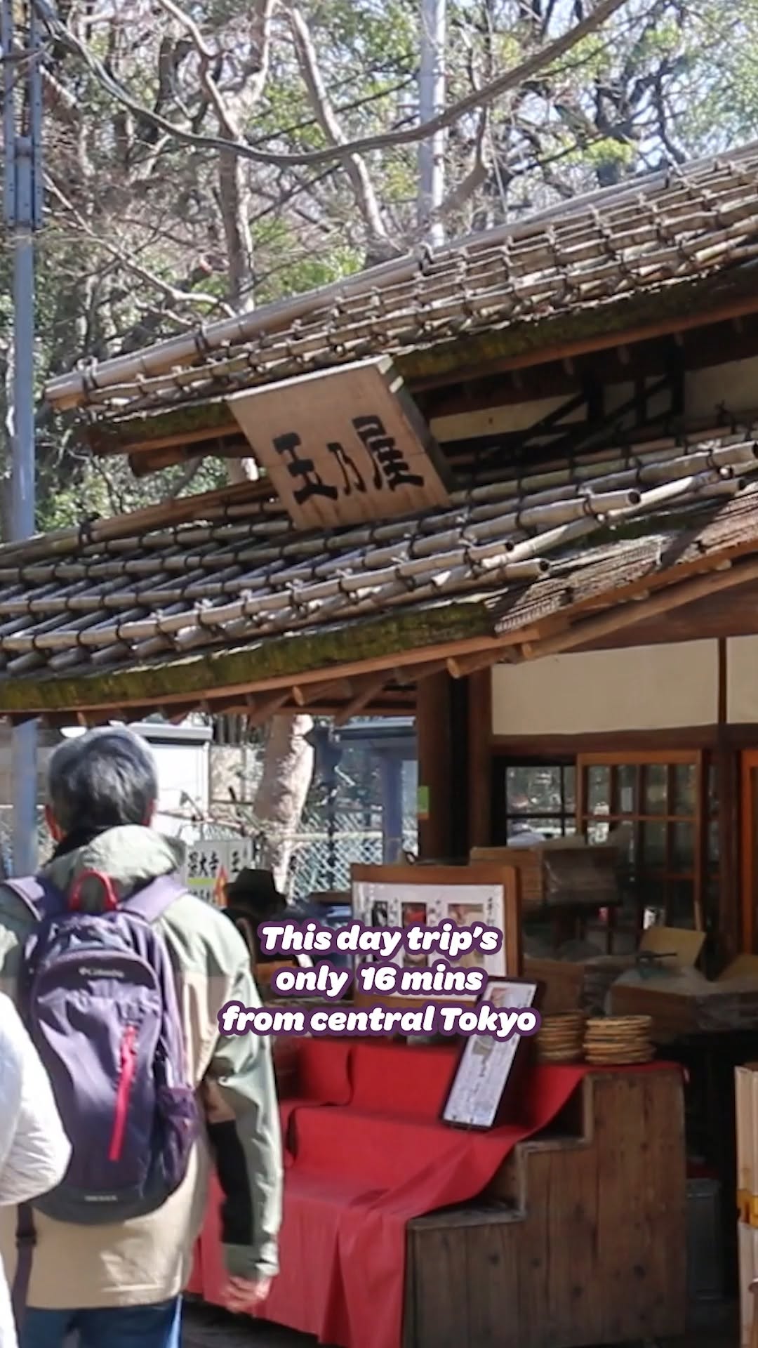 Chofu: A Chilled Day Trip Near Tokyo