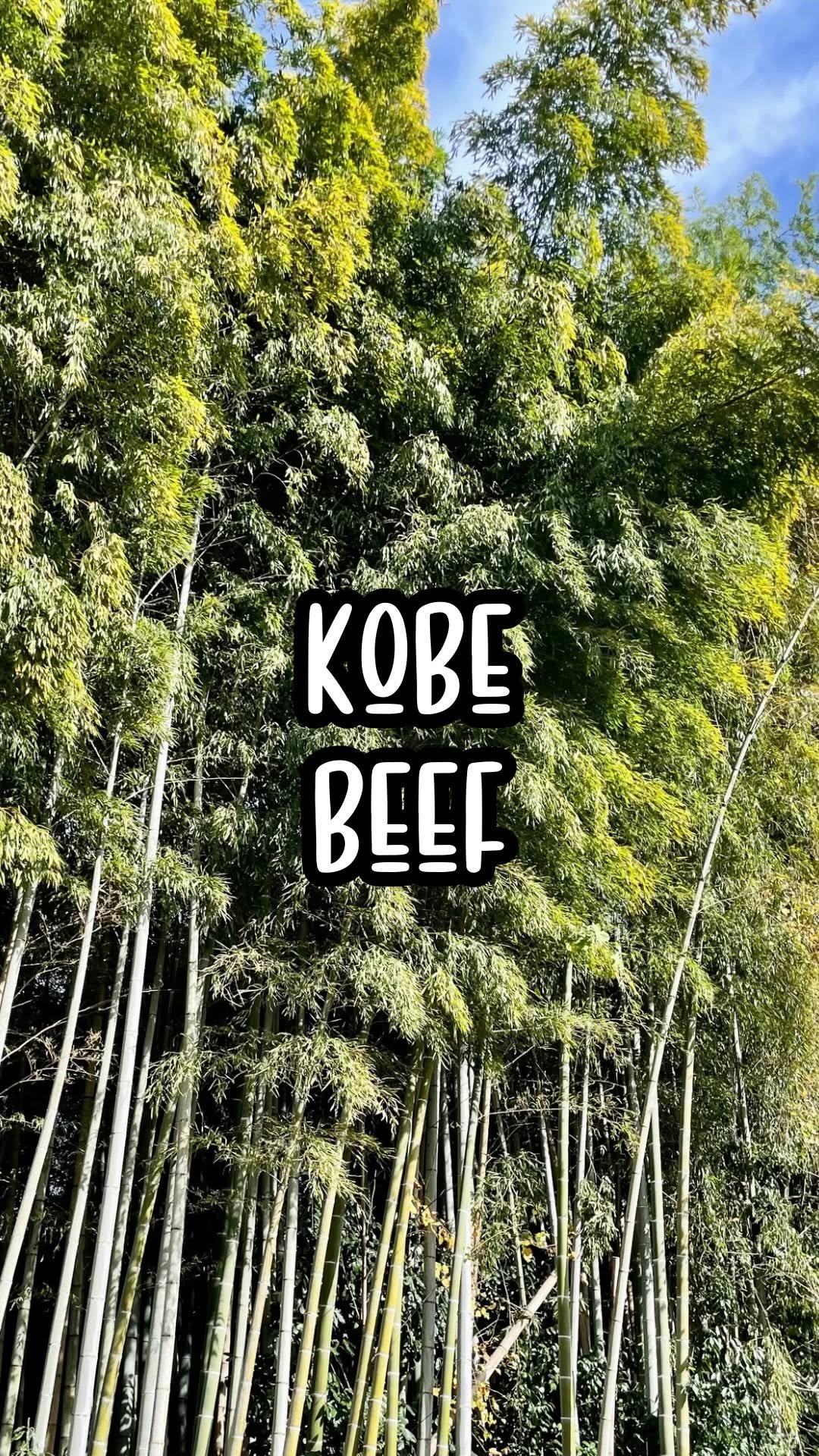 Kobe Beef Steak Ishida: A Guide to Enjoying Wagyu