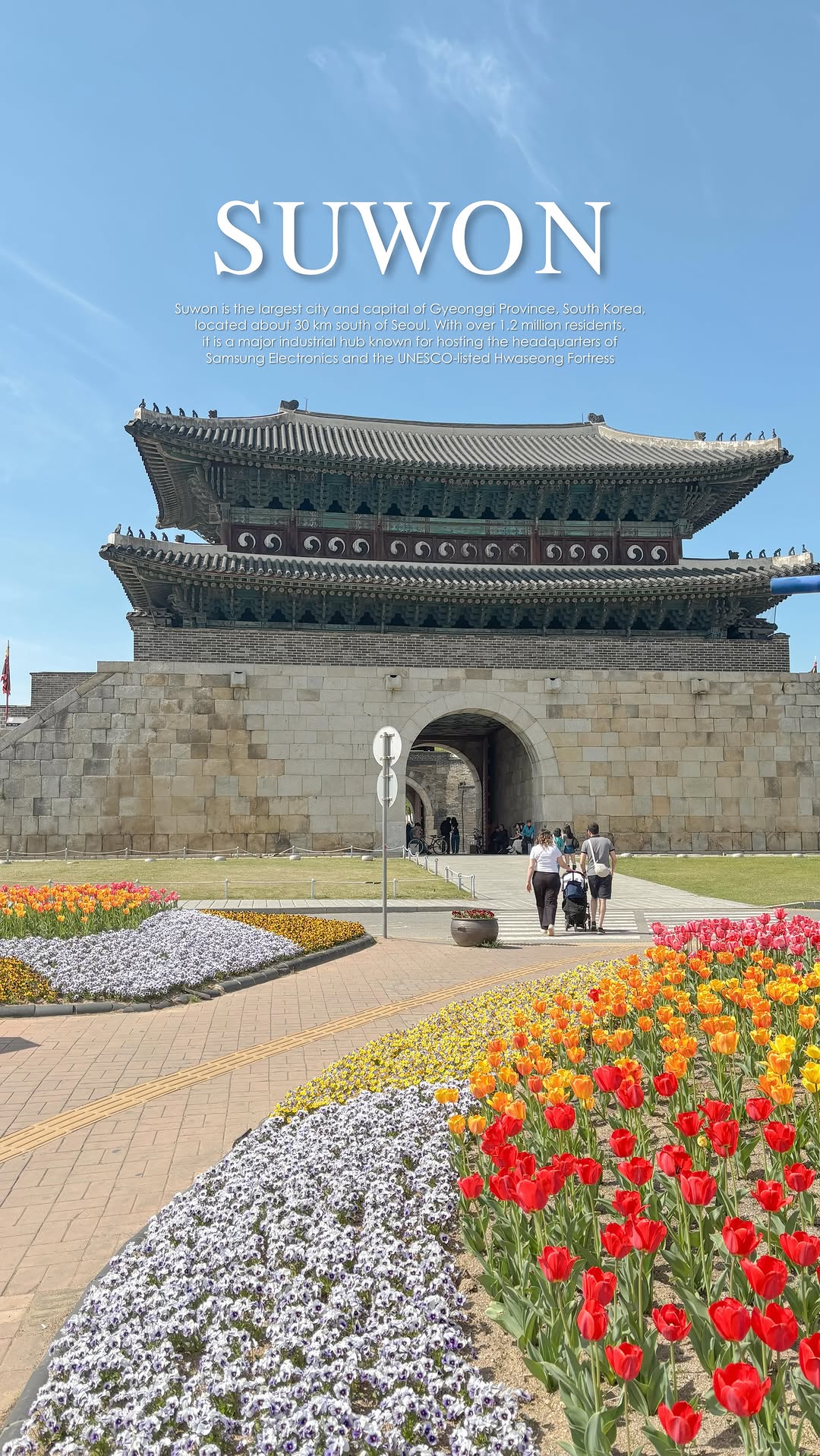 Suwon's Historic Fortress and Charming Cafes