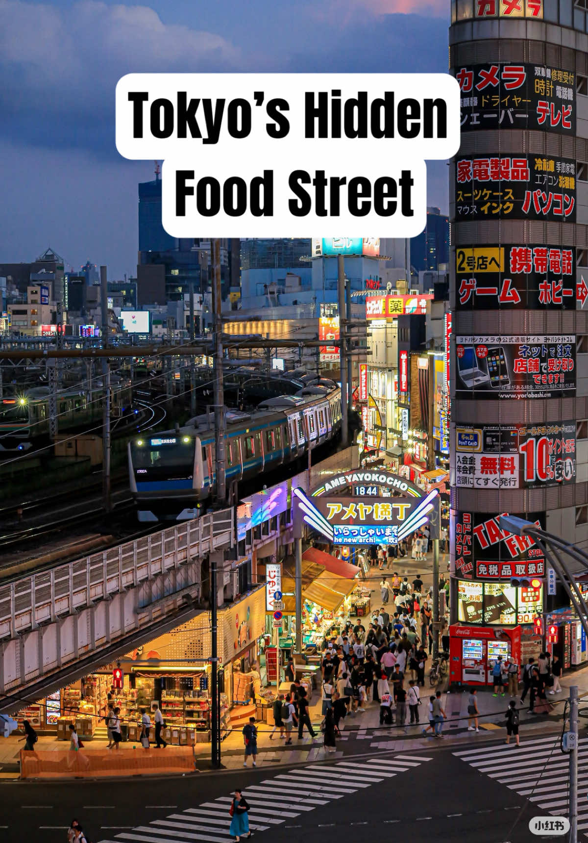 Tokyo's Ueno Ameyoko Market Offers Unique Food and Shopping