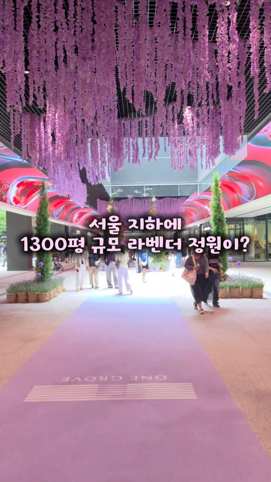 Seoul's Lavender Gardens Offer Free Access