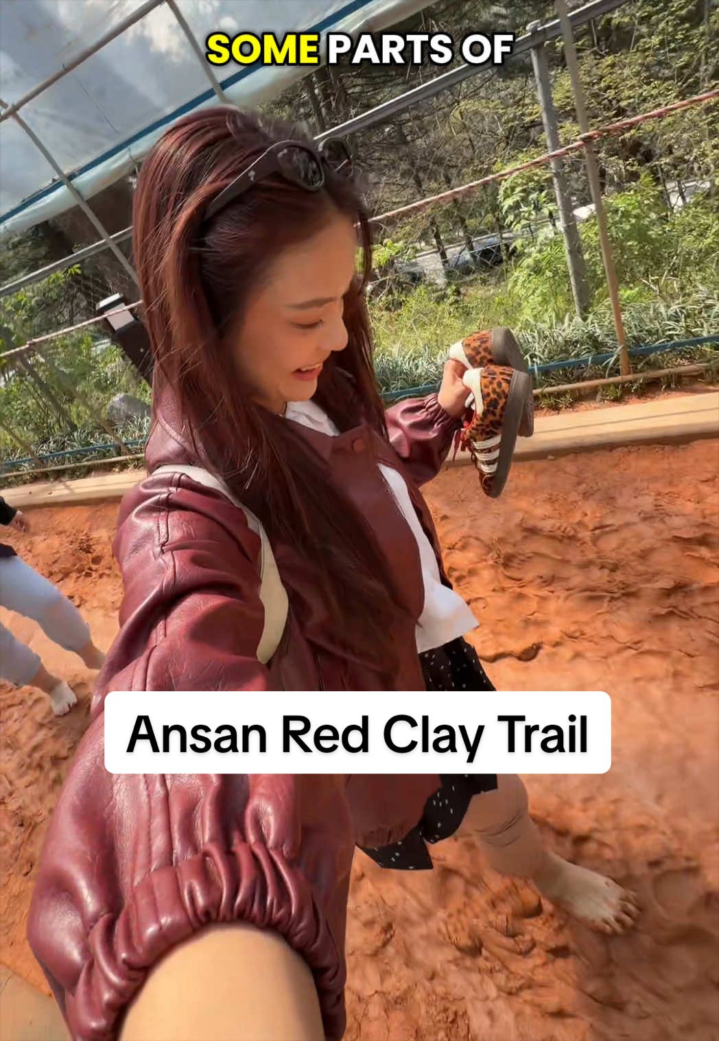 Seoul's Scenic Mountain Trails
