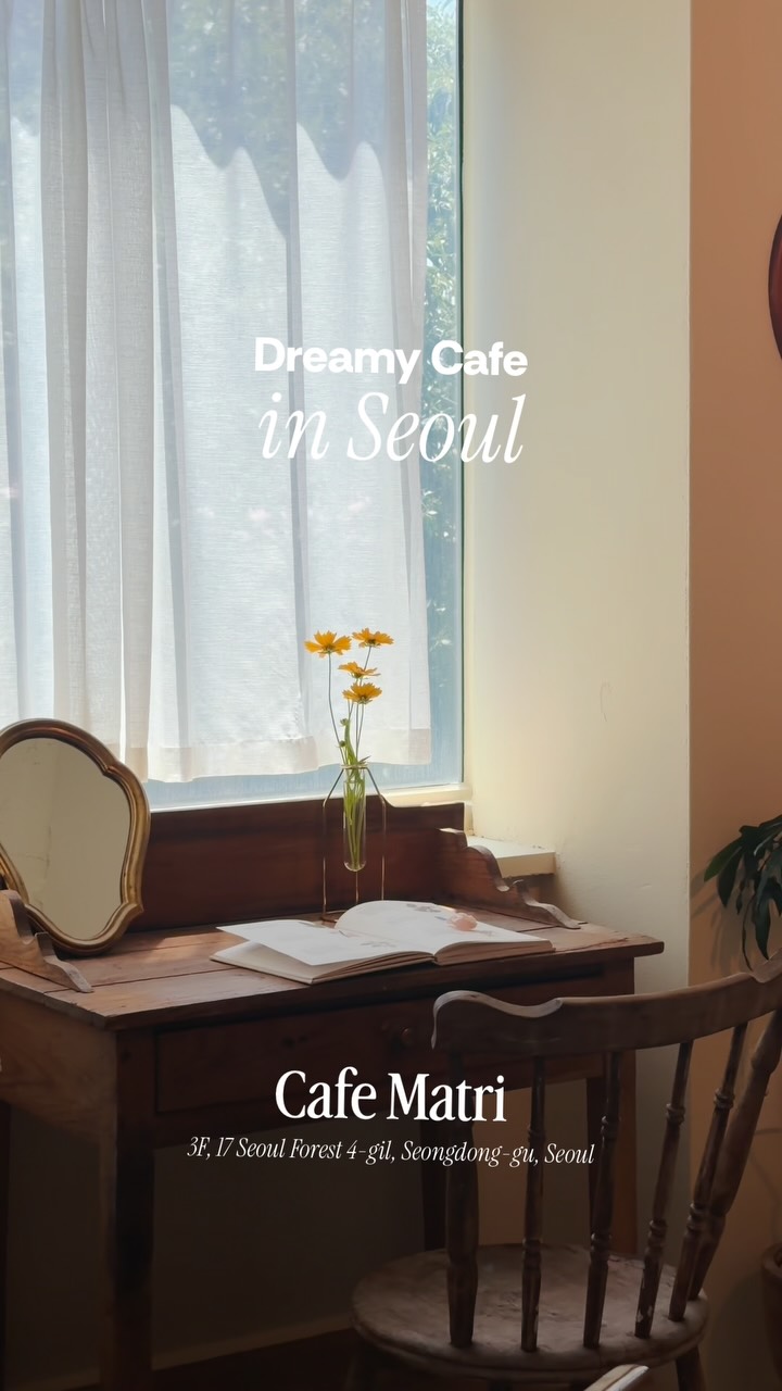 Seoul Parks and Cafes with Pet-Friendly Vibes