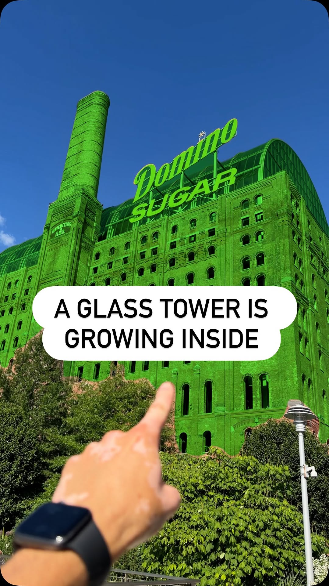 Domino Sugar Refineries and Waterfront