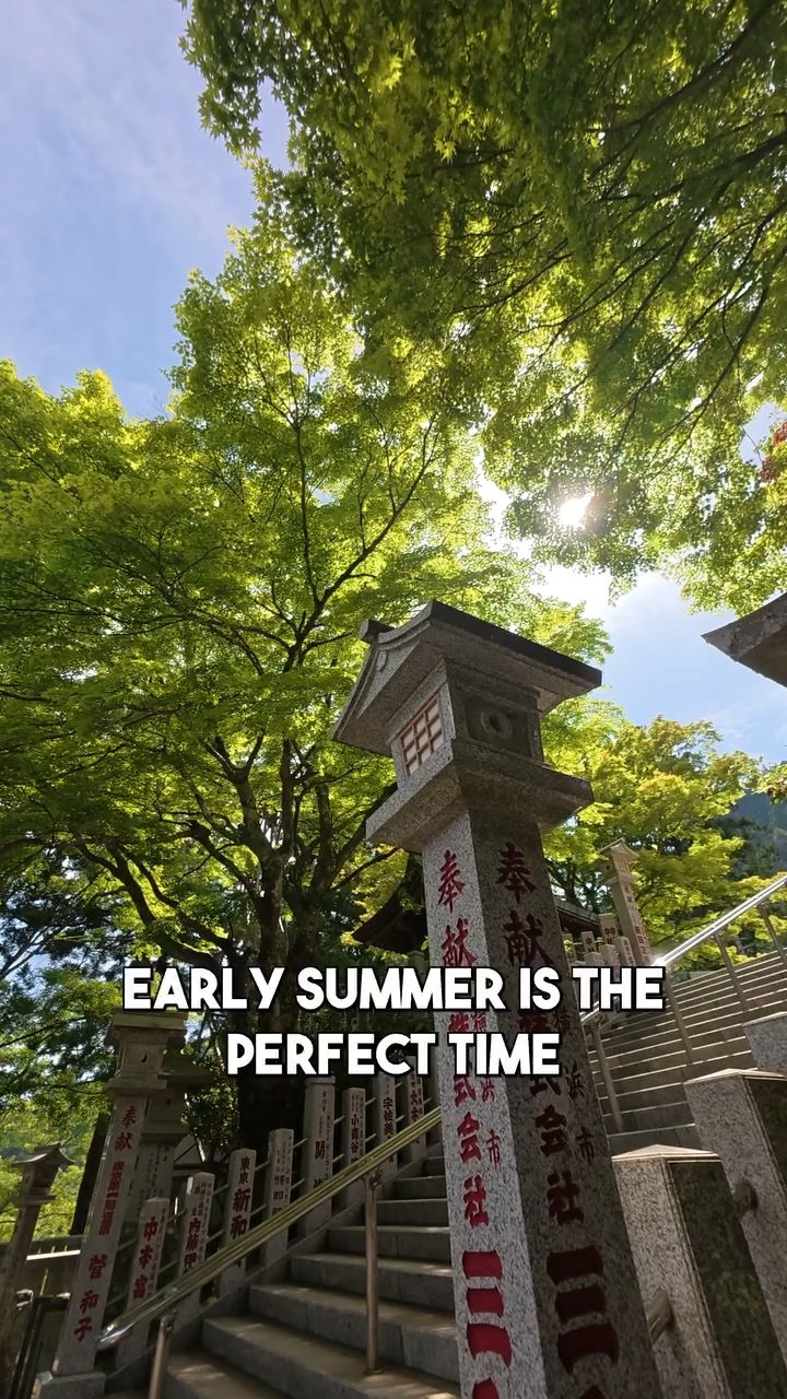 7 Attractions in Isehara