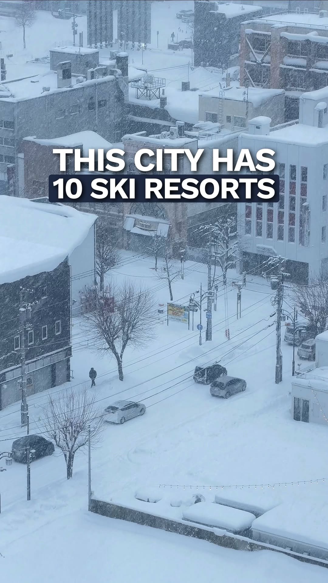 Asahikawa: Skiing, Wildlife, and Cozy Stays