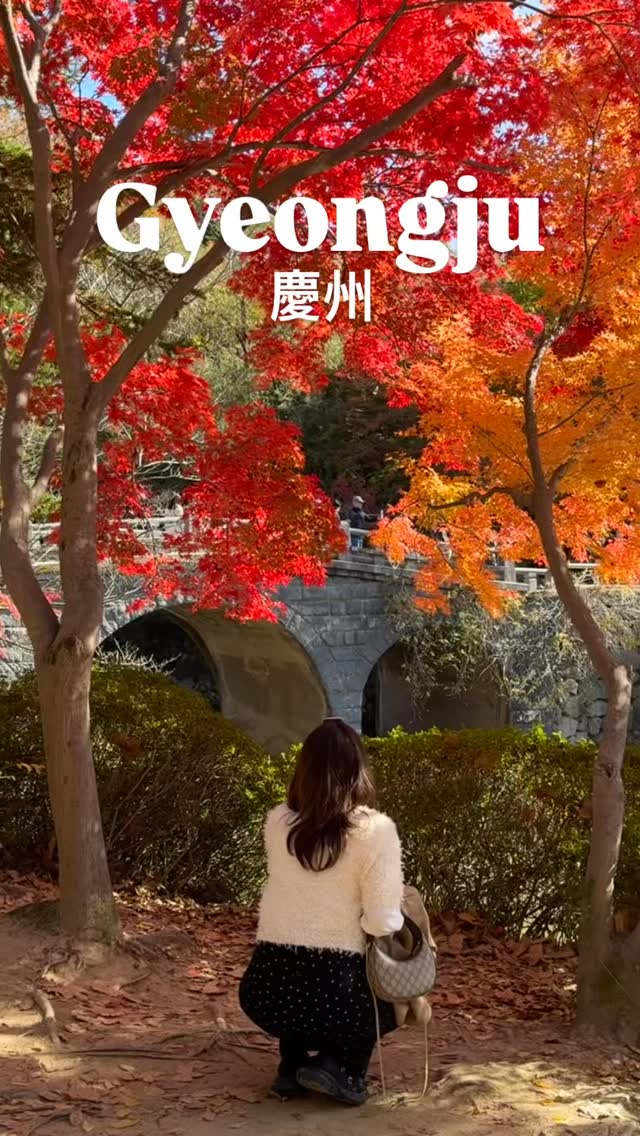 Gyeongju's Autumn Scenery: Temples and Tombs