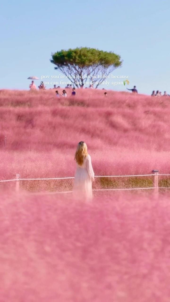 5 Parks in Seoul