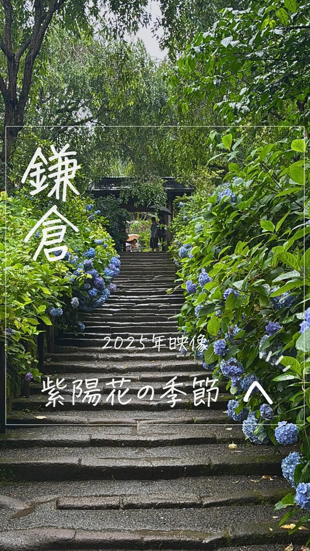 6 Attractions in Kamakura
