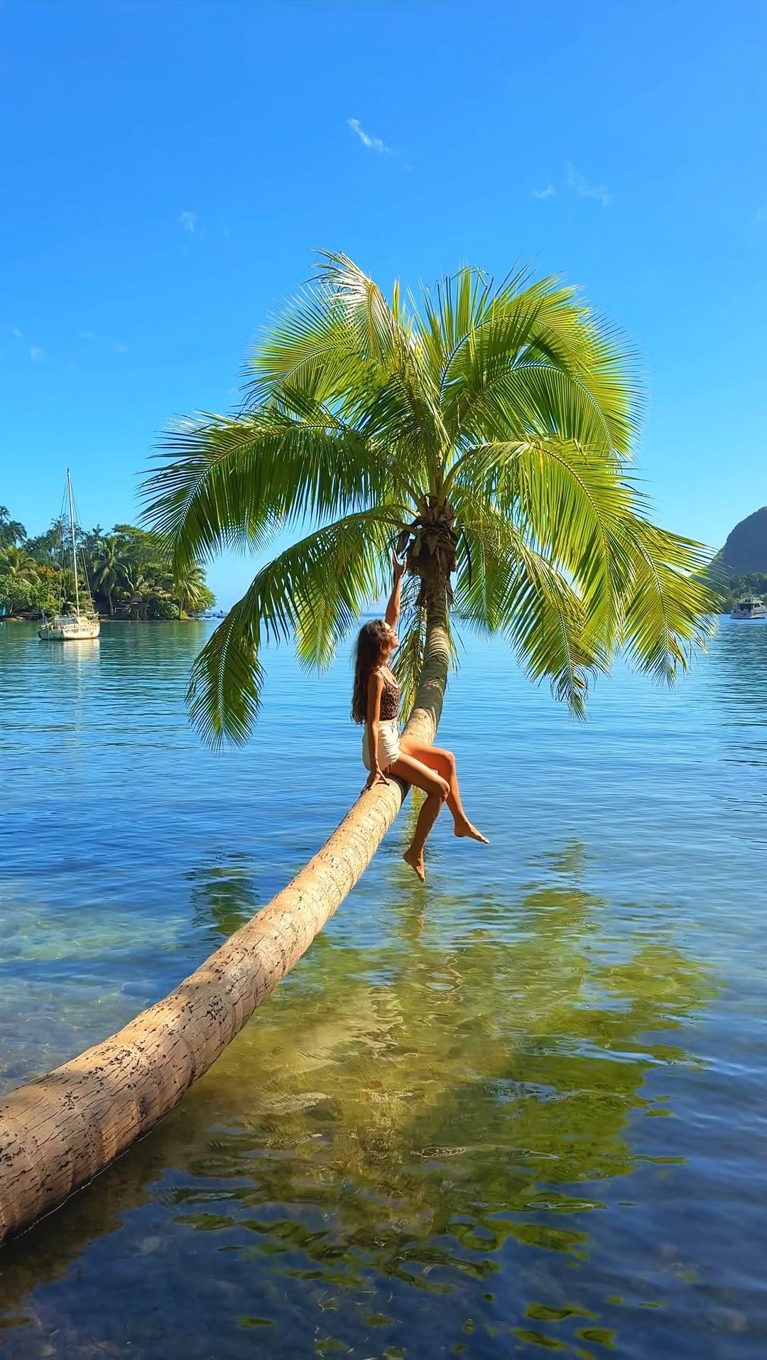 Moorea's Bays and Whale Watching Season
