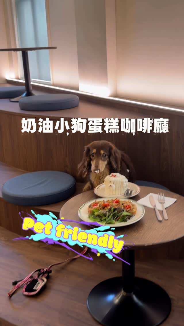 Pet-Friendly Taipei Cafe Welcomes Dogs Freely