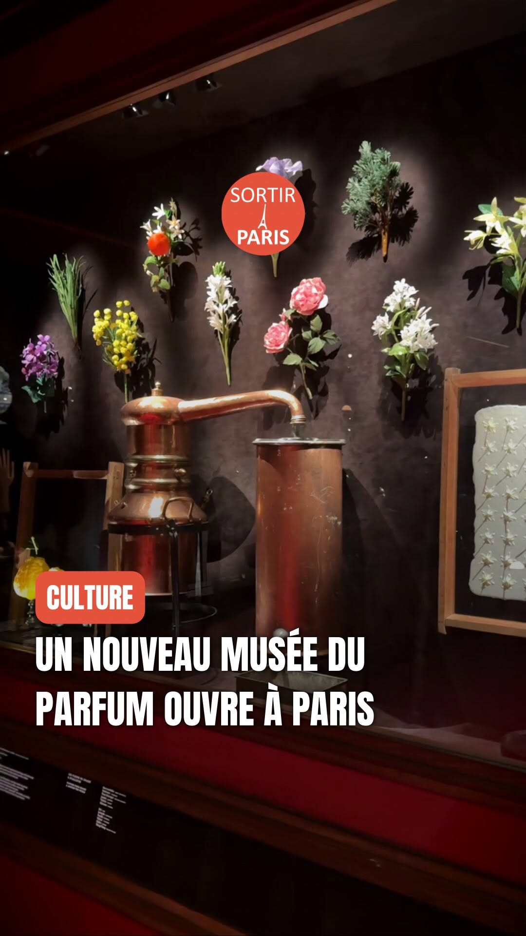 Paris Perfume Museums Trace History of Fragrance
