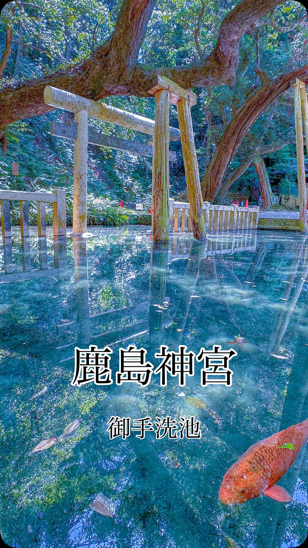 Kashima Shrine's Annual Festival and Sacred Sites