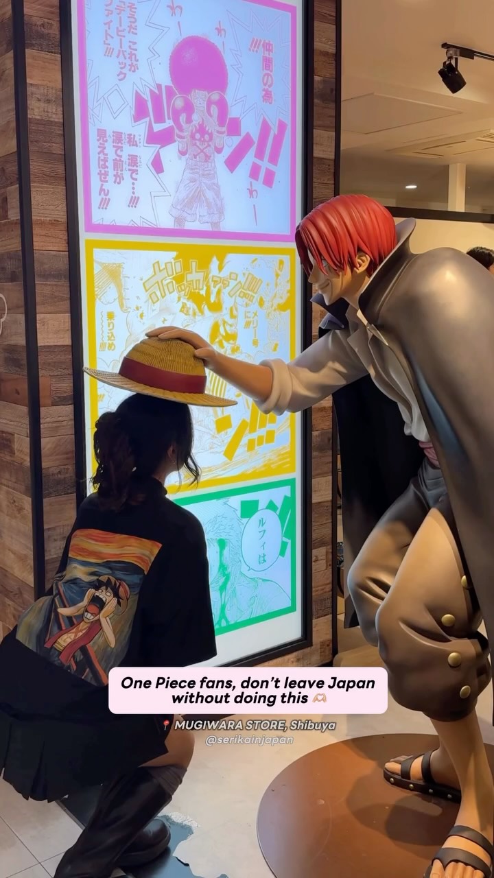 One Piece Stores in Tokyo for Fans