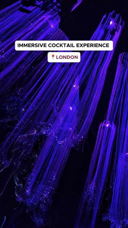 Avora London: Immersive New-World Cocktail Experience