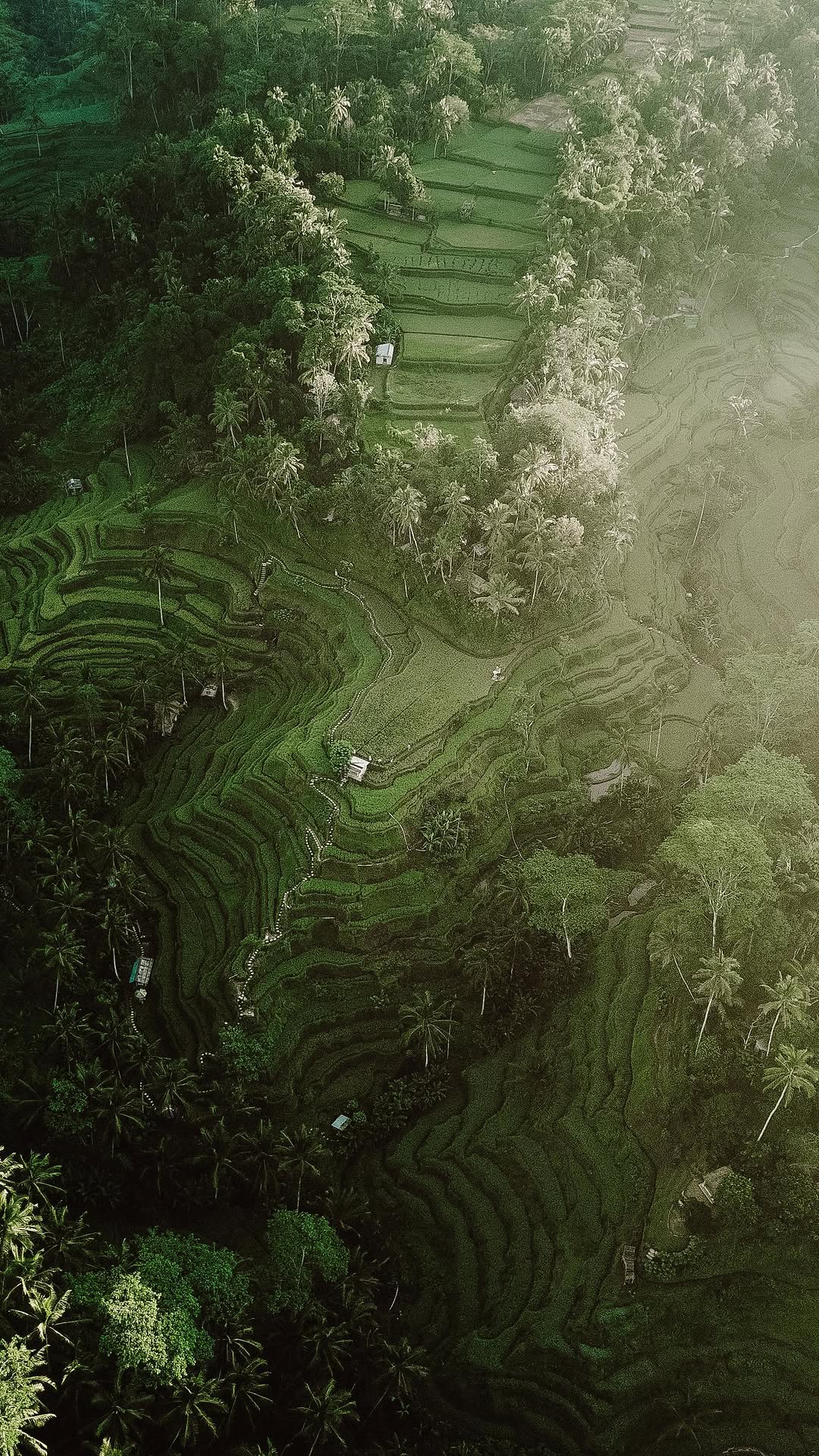 Dreamsea Bali: Cliffside Ocean Views