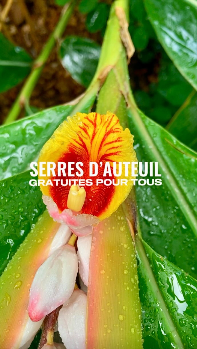 Jardin des Serres d’Auteuil Botanical Gardens