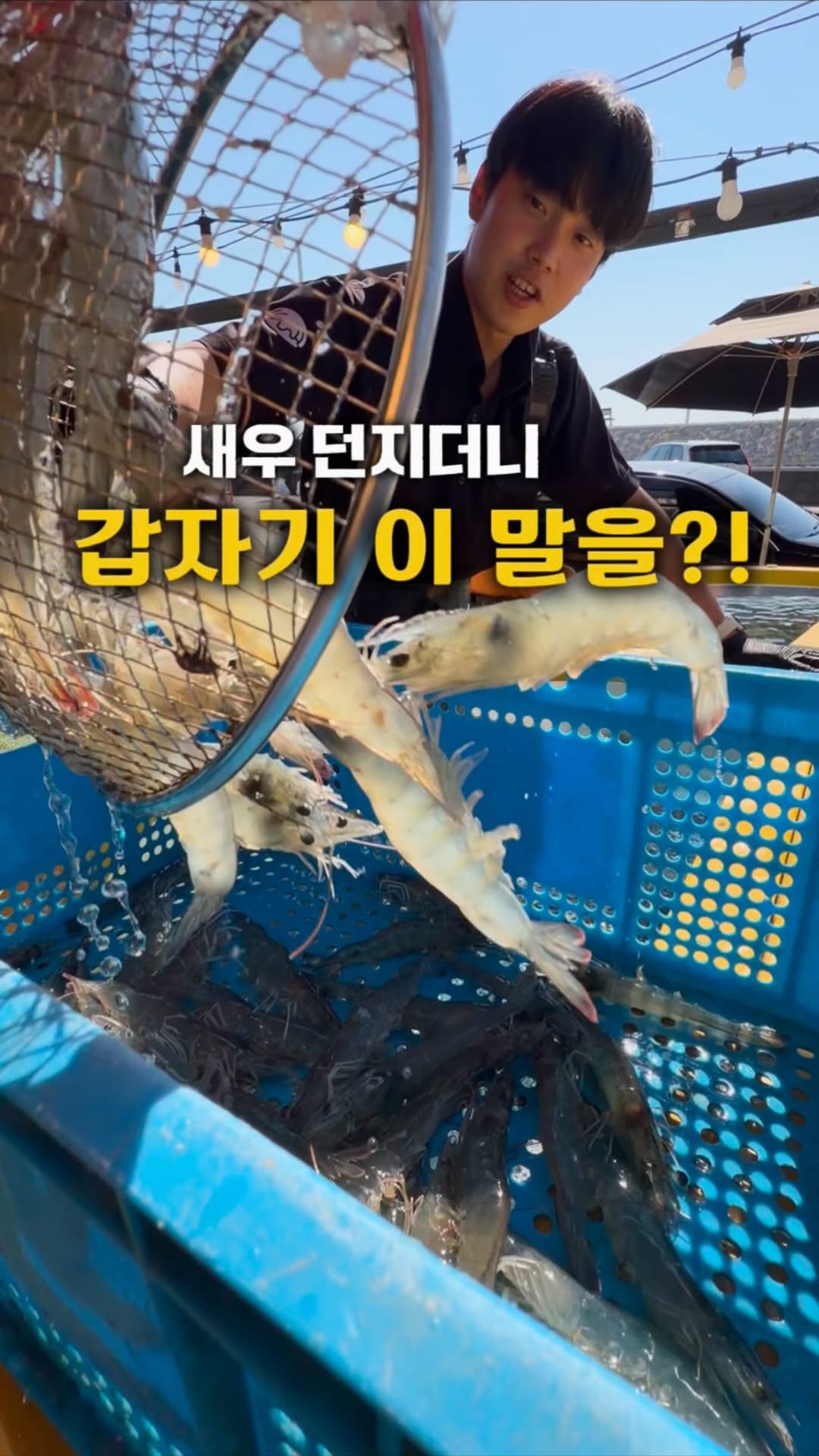 Oido Seafood Restaurants Feature Shrimp Dishes