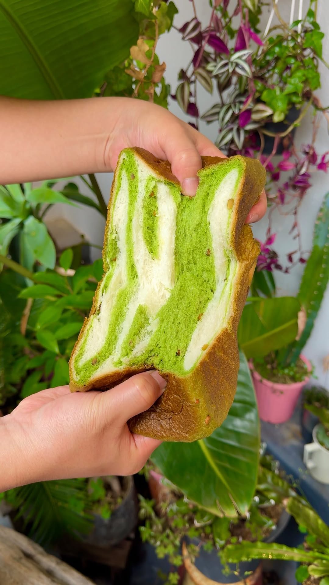 Pistachio Bread Process At Sakimoto Bakery
