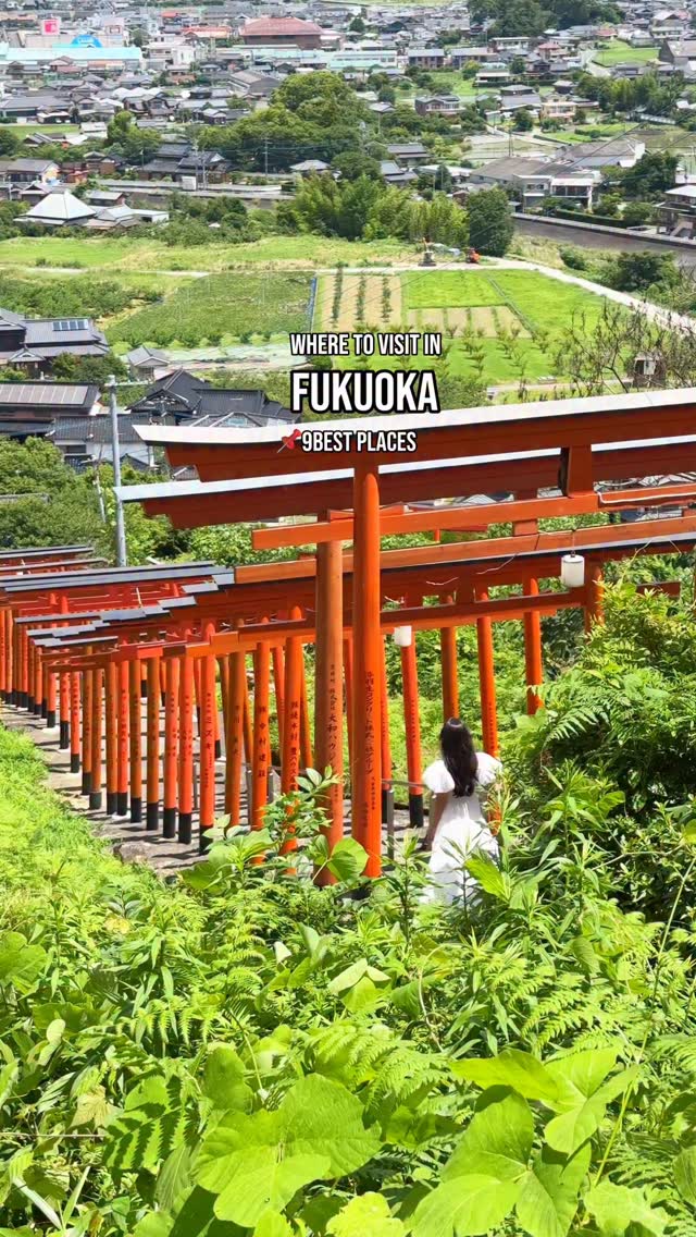 9 Attractions in Fukuoka