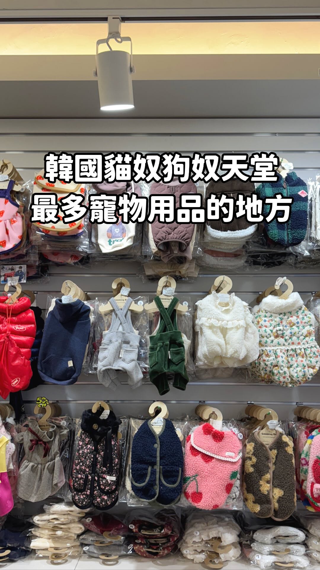 South Korean Pet Supply Shopping At Namdaemun Market