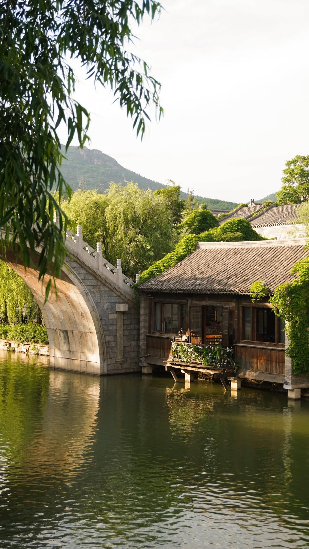 Beijing's Nature Spots For A UK Nature Lover