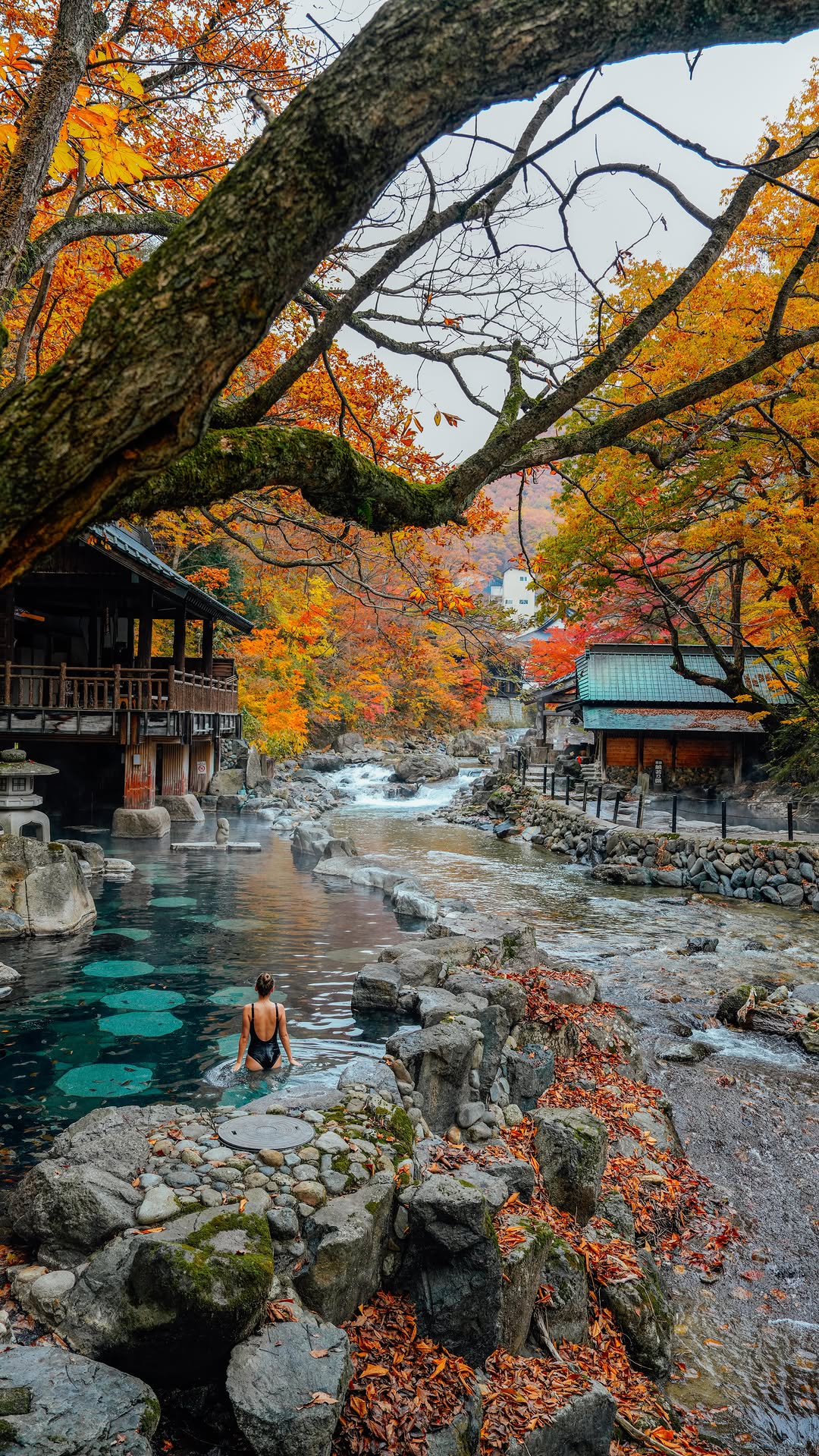 Takaragawa Onsen Osenkaku: Tattoo-Friendly Forest Onsen