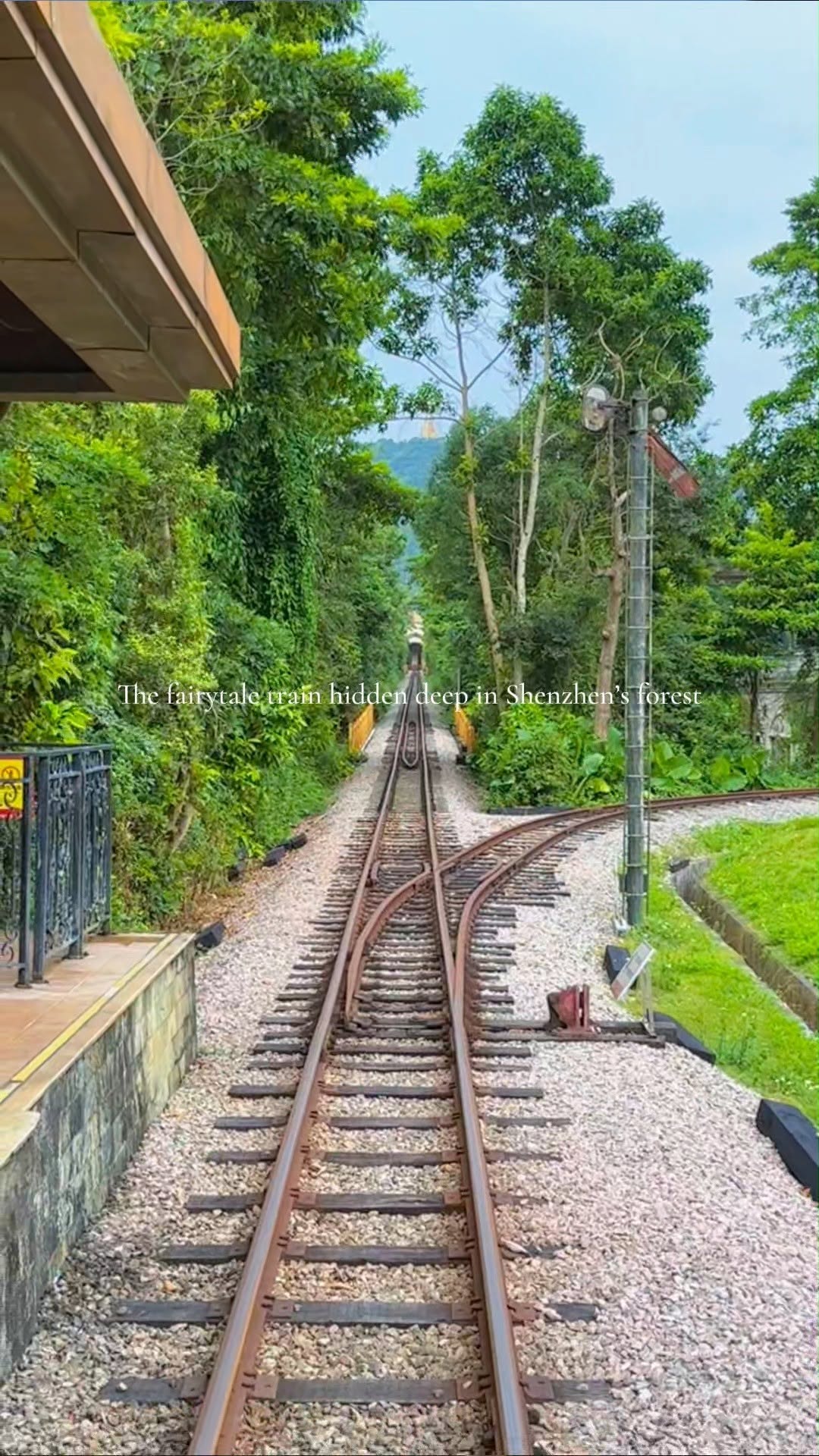 Nature And Water Attractions In Shenzhen