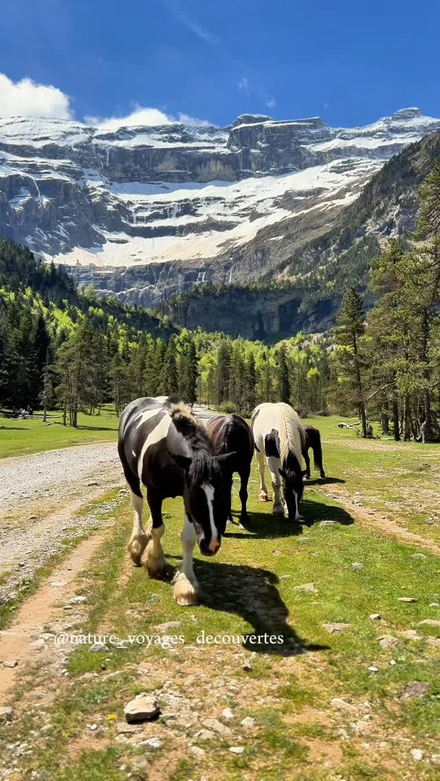 2 Nature spots