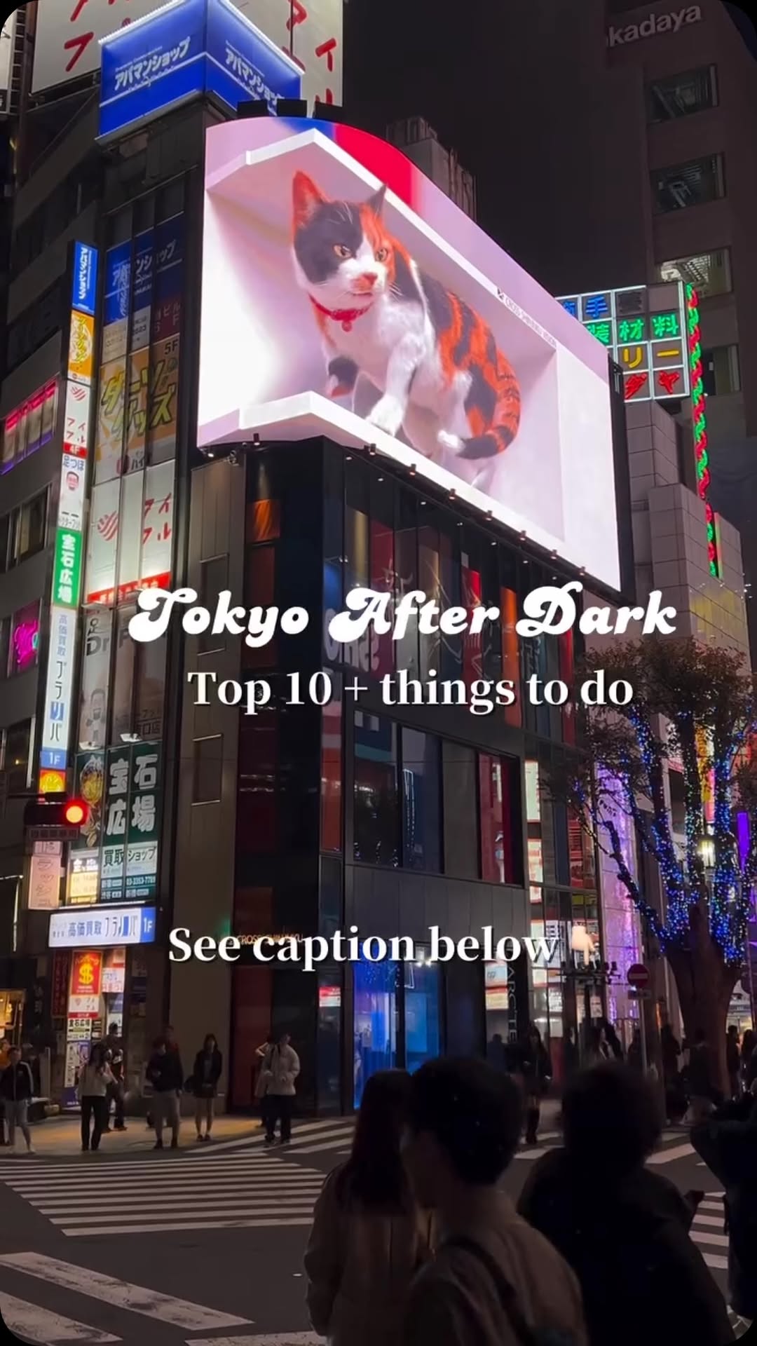 13 Places in Tokyo