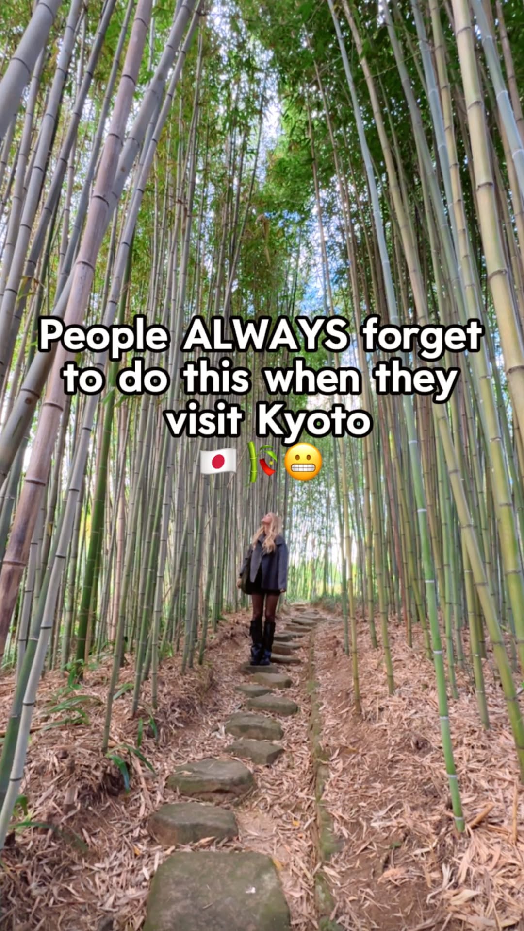 Kyoto's Hidden Gems: Bamboo Park, Kabuki, and Temple