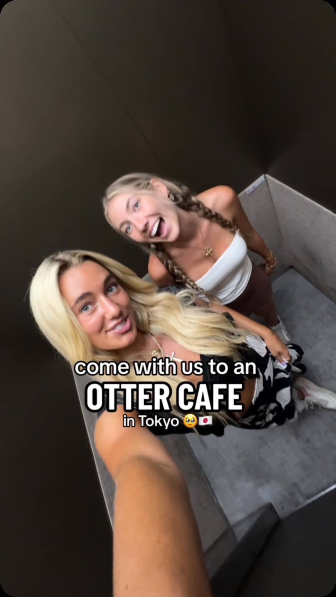 Otter Encounters At Harry's Animal Cafe