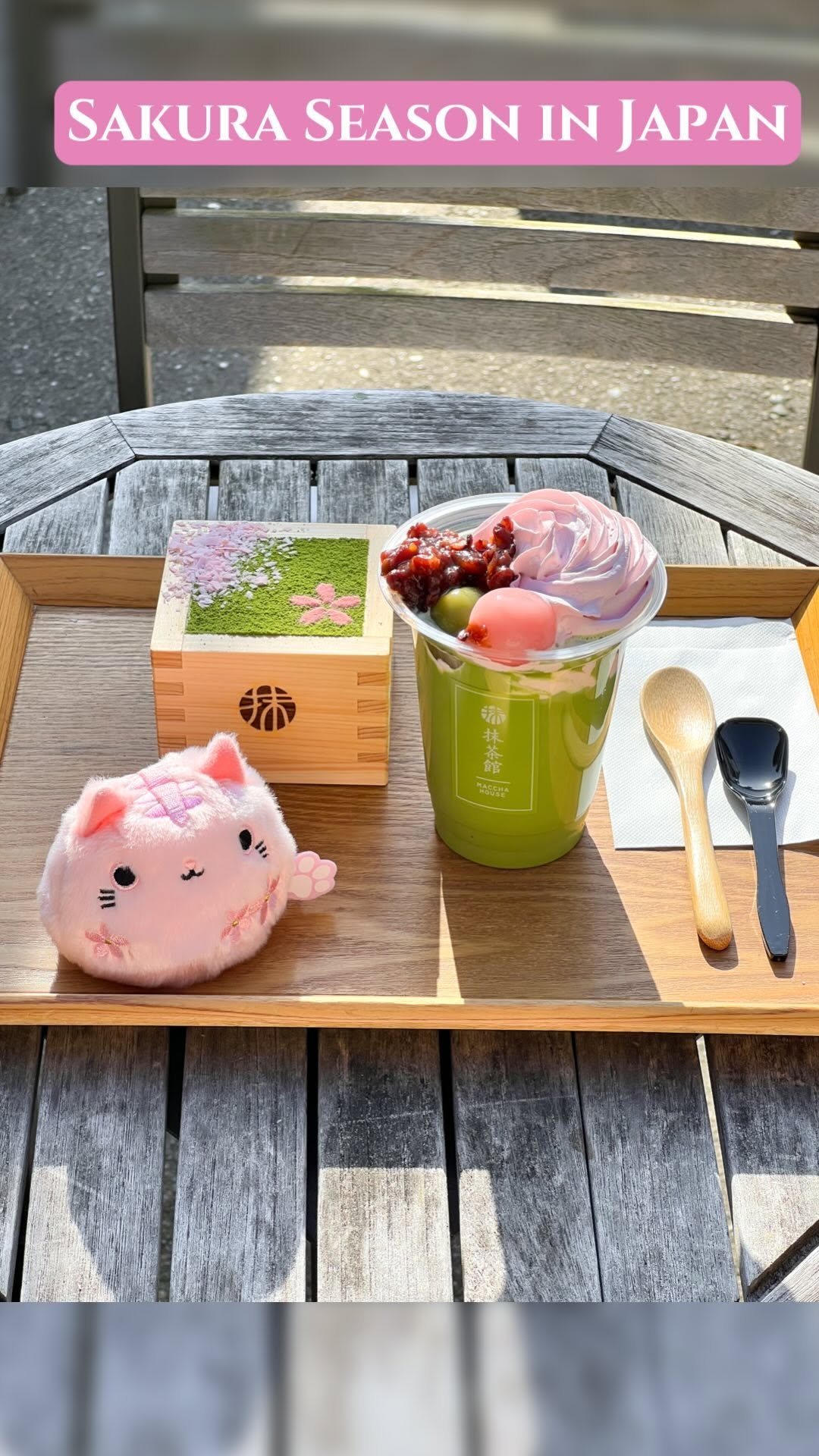Sakura Season Desserts in Kyoto