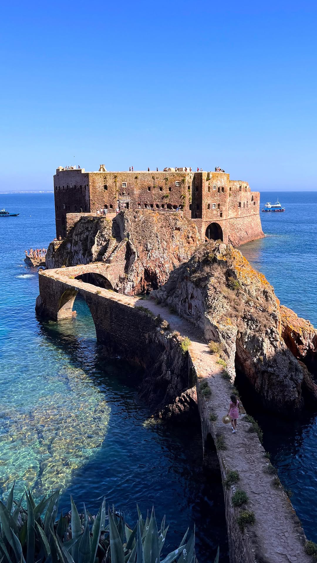 Discover the Berlengas Nature Reserve