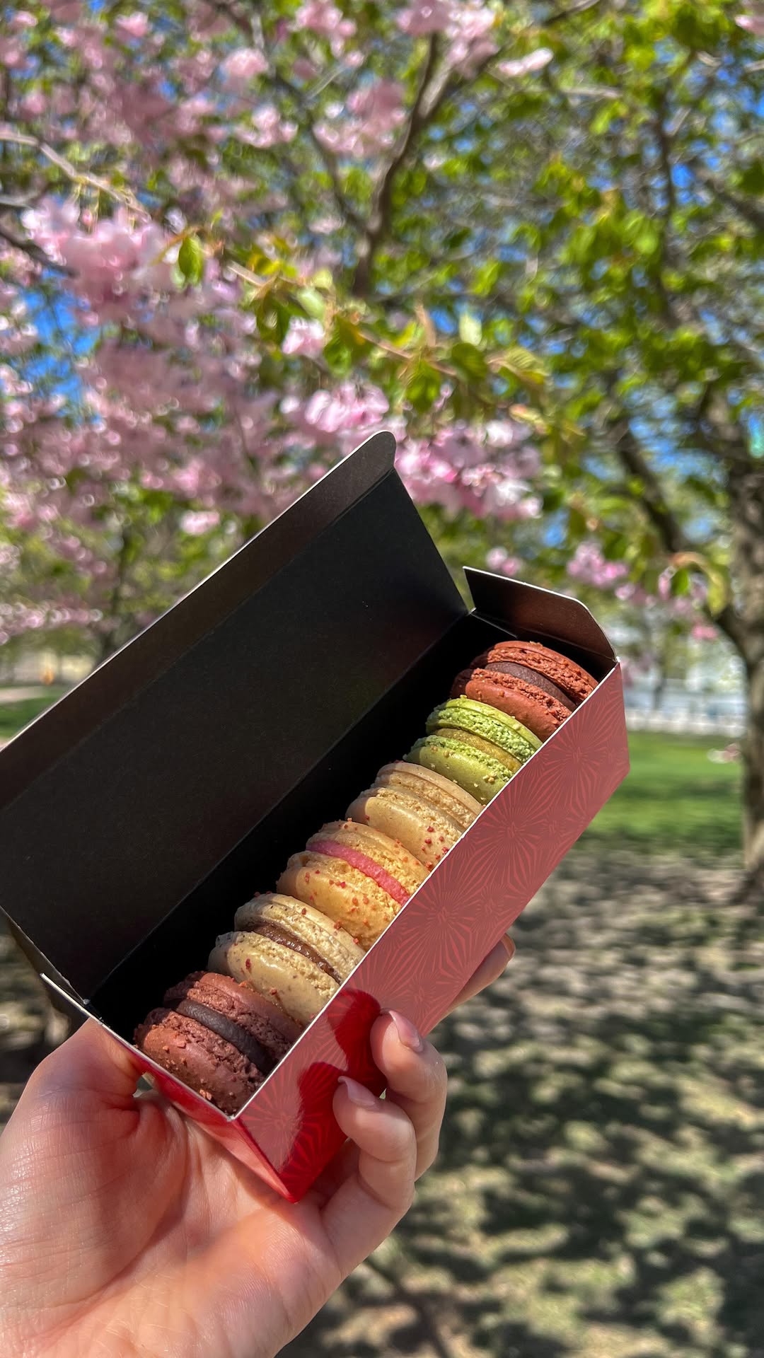 Parisian Charm in Helsinki