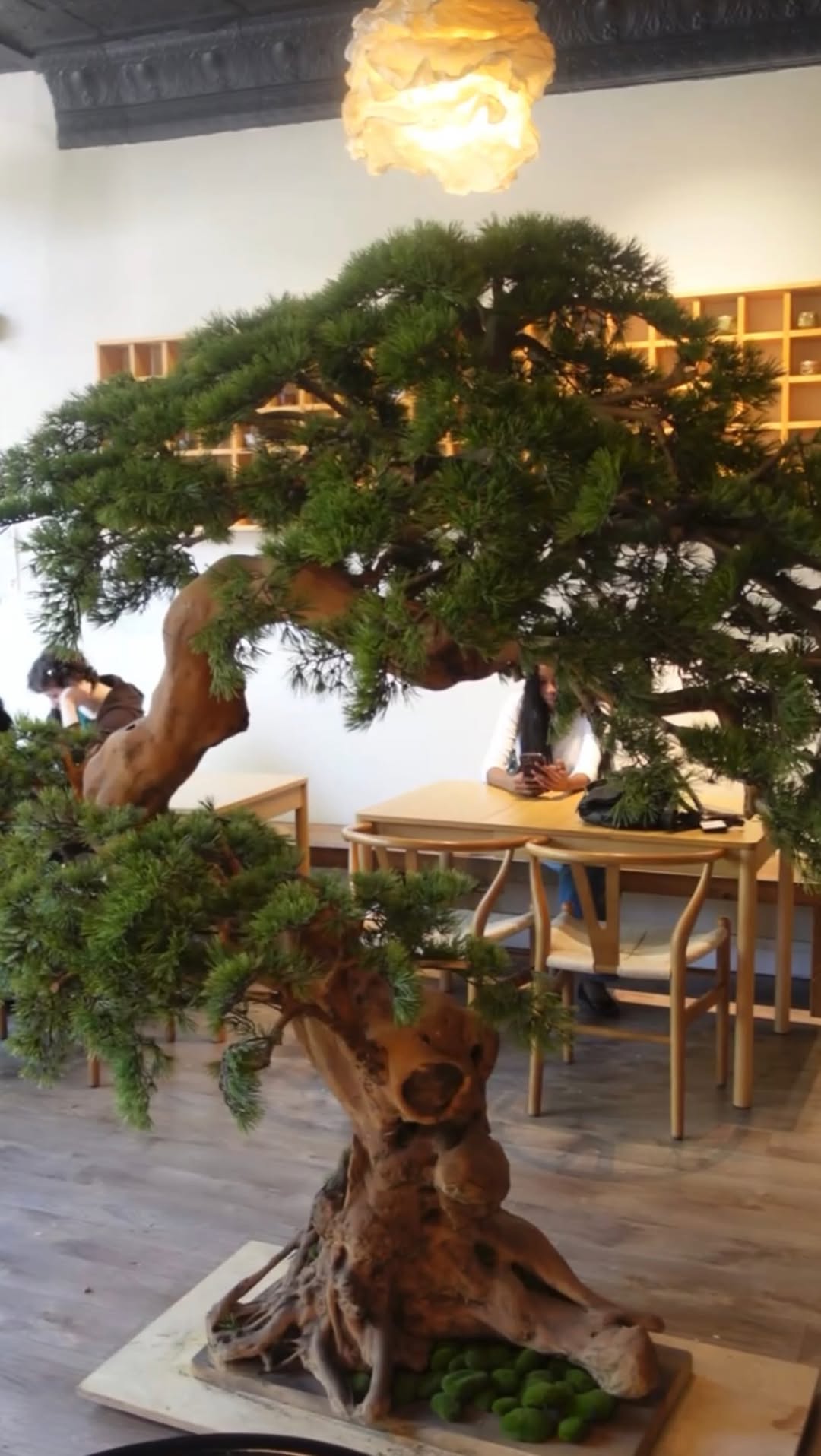 Living Water Tea House: A Peaceful Retreat