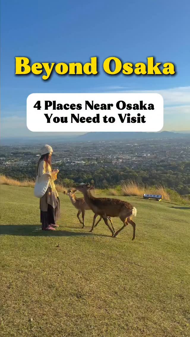 5 Attractions in Kobe