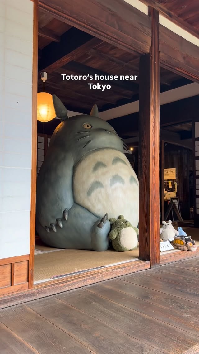 Totoro's Forest And Traditional Home In Saitama