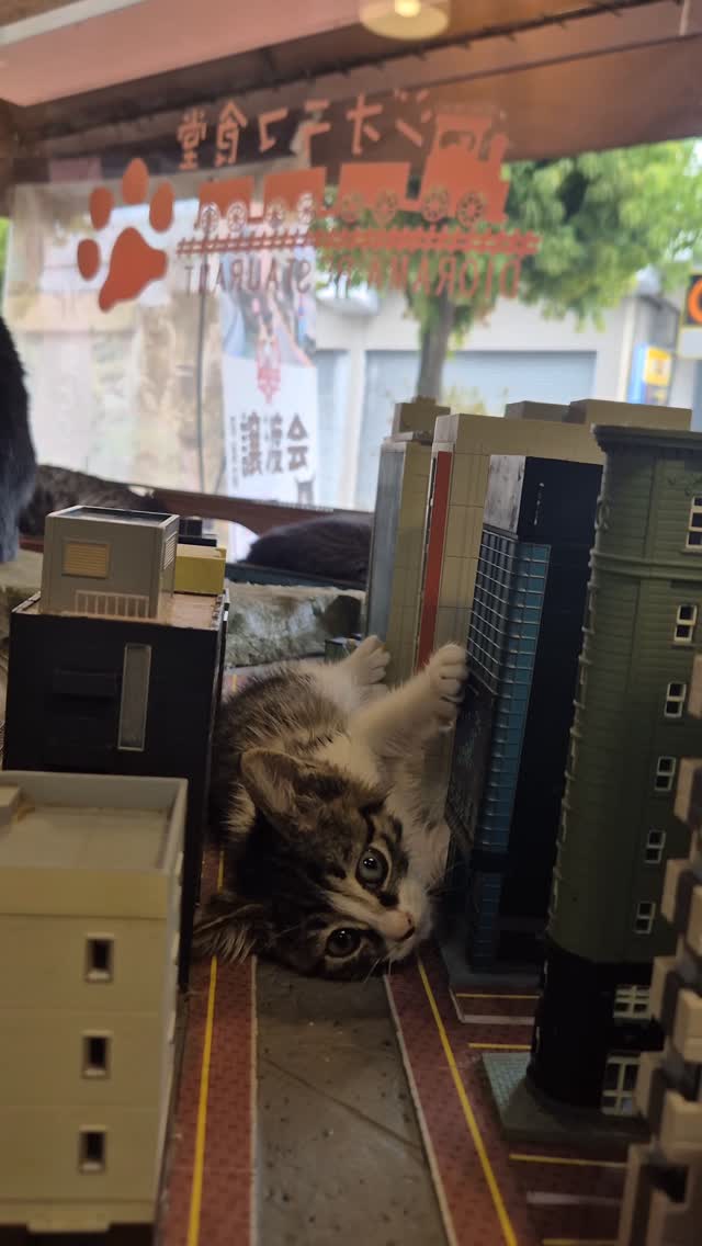 1 Restaurants in Osaka