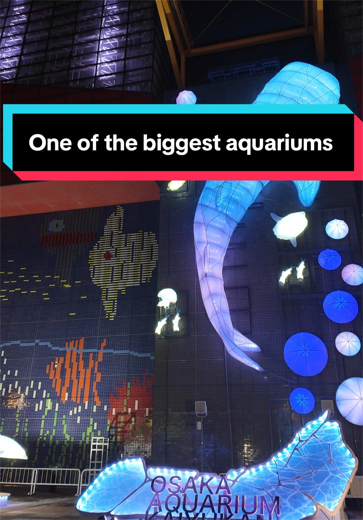 Osaka Aquarium Kaiyukan Exploration