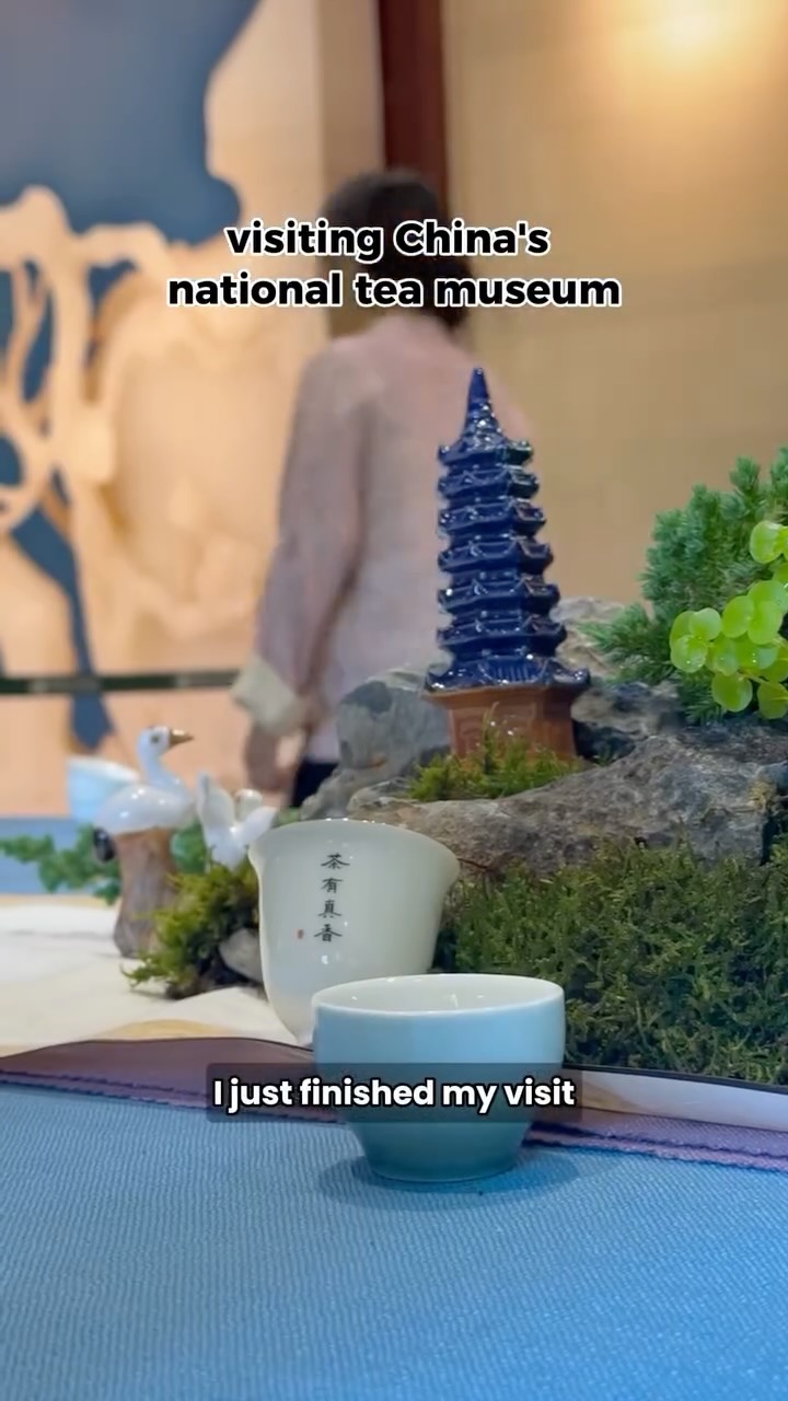 China National Tea Museum Explores Tea Culture