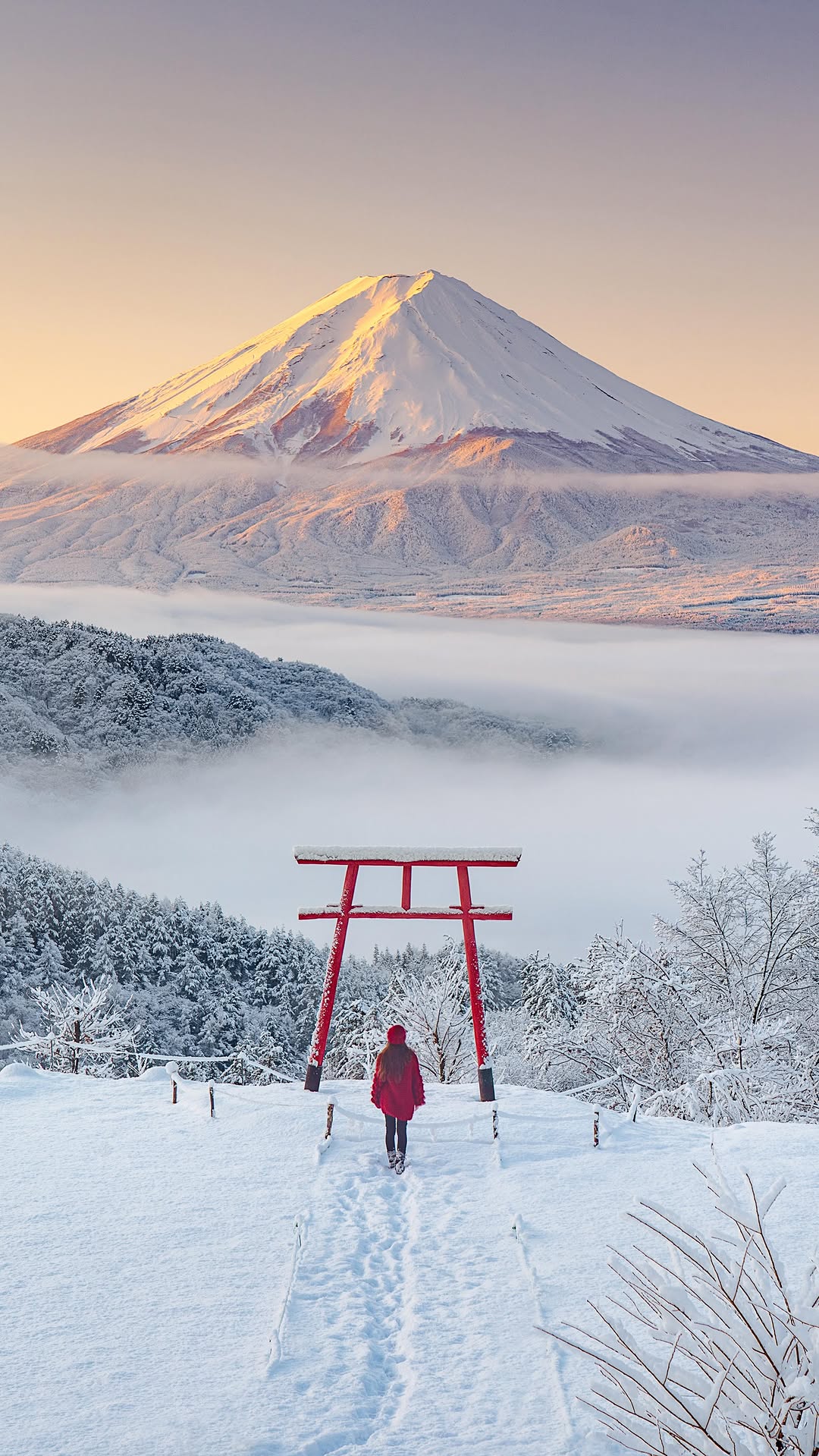 Iconic Views: Mount Fuji and Kawaguchi Asama Shrine