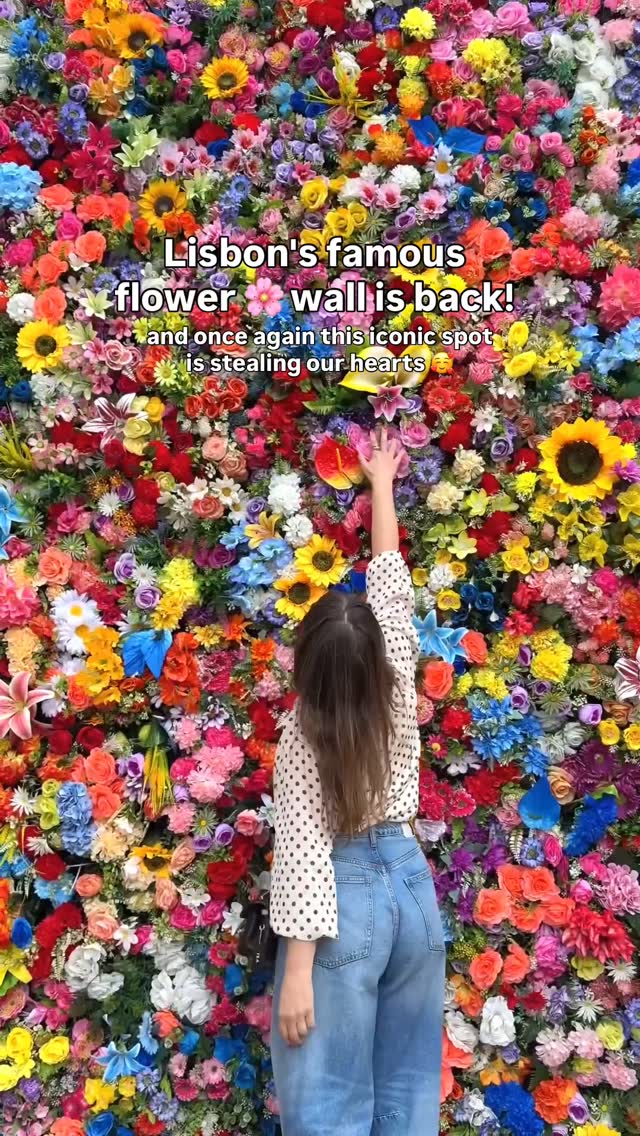 Lisbon Flower Wall Returns to Largo Santo António da Sé
