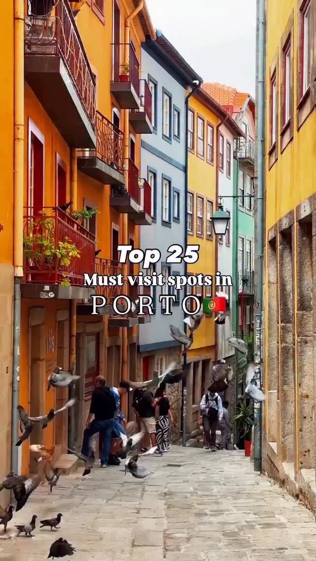 17 Attractions in Porto