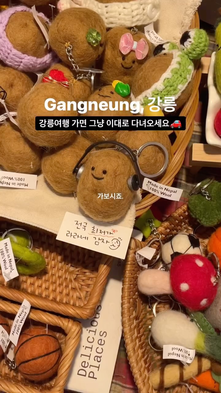 Must-Visit Spots in Gangneung For a Memorable Trip