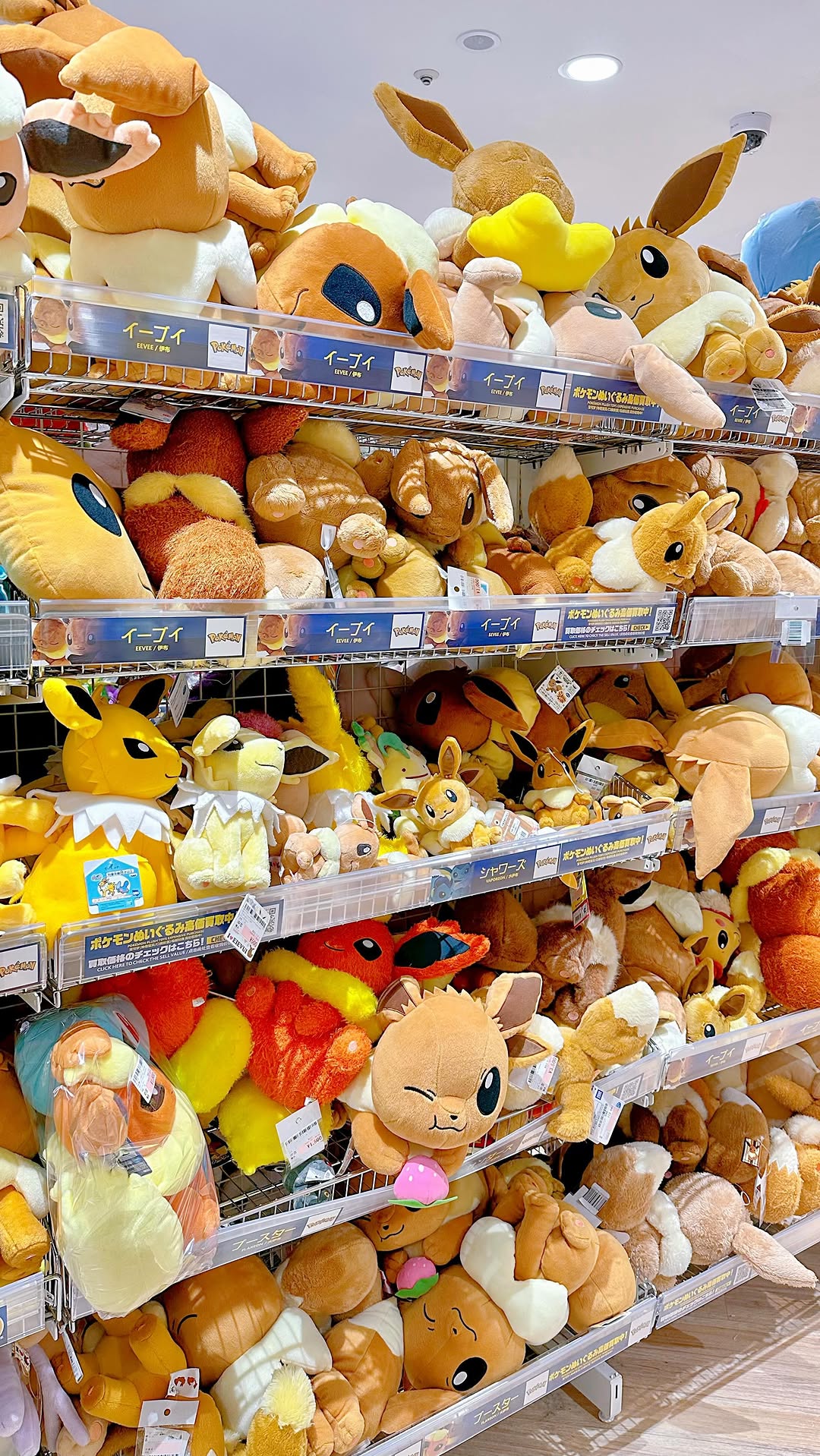 Berda Paradise Thrift Store's Pokémon Paradise Theme
