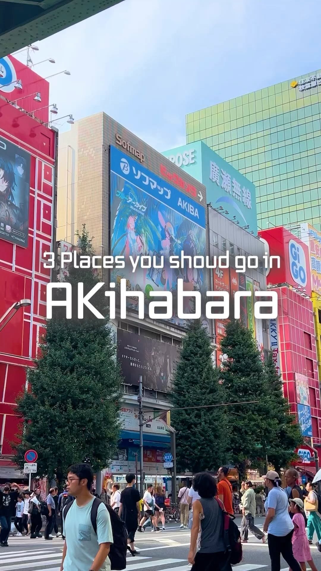 Tokyo's Electric Town and Shrine Destinations